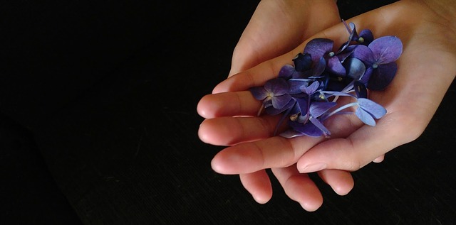 ruce, fialové květy