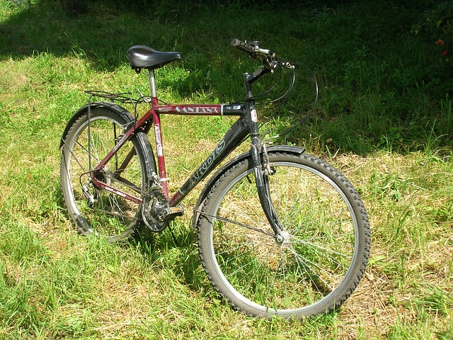 horské kolo na trávníku