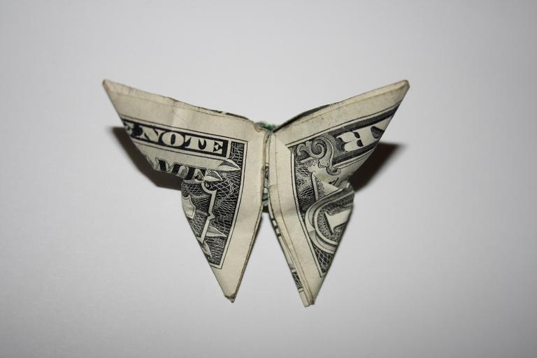 motýlek z dolarů